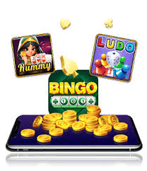bingo 101